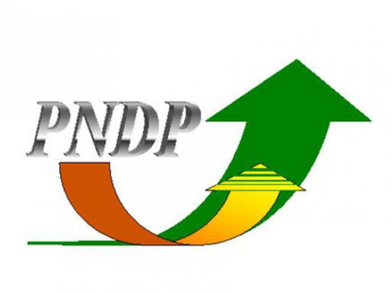 PNDP : un acteur essentiel de la décentralisation et du développement local au Cameroun