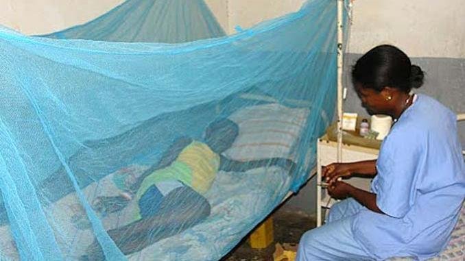 Lutte conjointe contre le paludisme et la protection de l’environnement