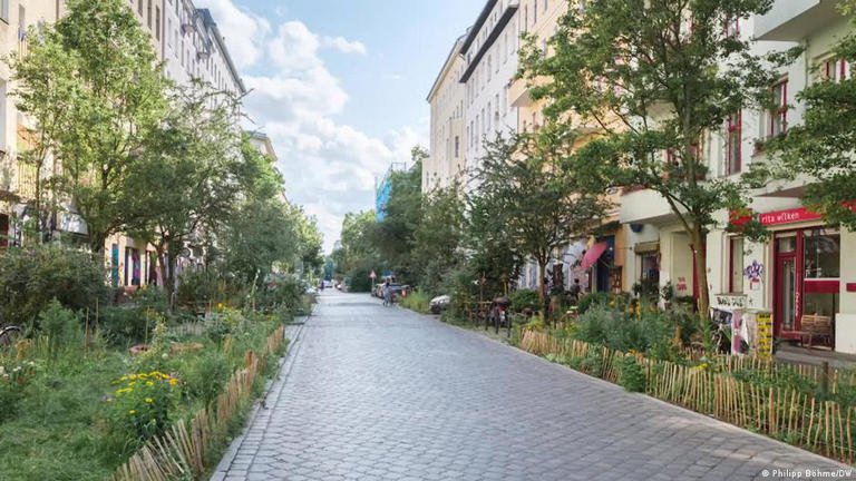 Arbres sont essentiels pour les villes plus fraiches, mais ils ont aussi besoin d’aide